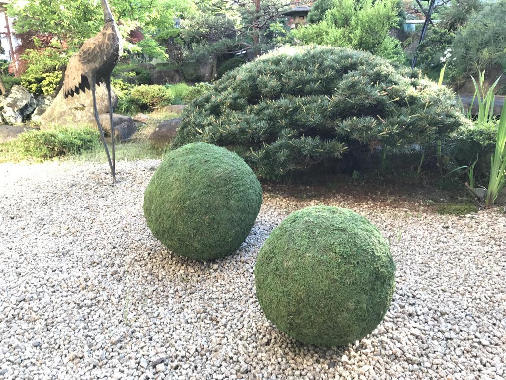 Hohoemino Kuyufu Tsuruya Tendo Exterior foto